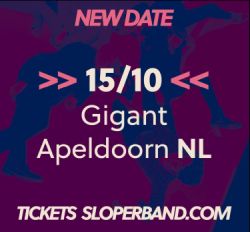 Cesar Zuiderwijk Sloper Apeldoorn - Gigant ad